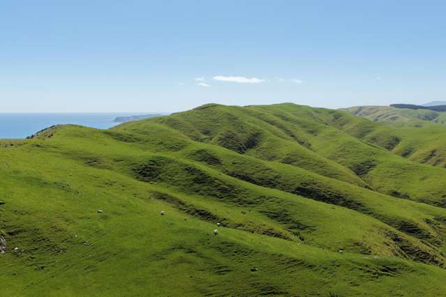 309 - 317 Boomrock Road Ohariu_3