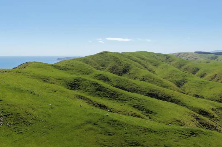309 - 317 Boomrock Road Ohariu_3