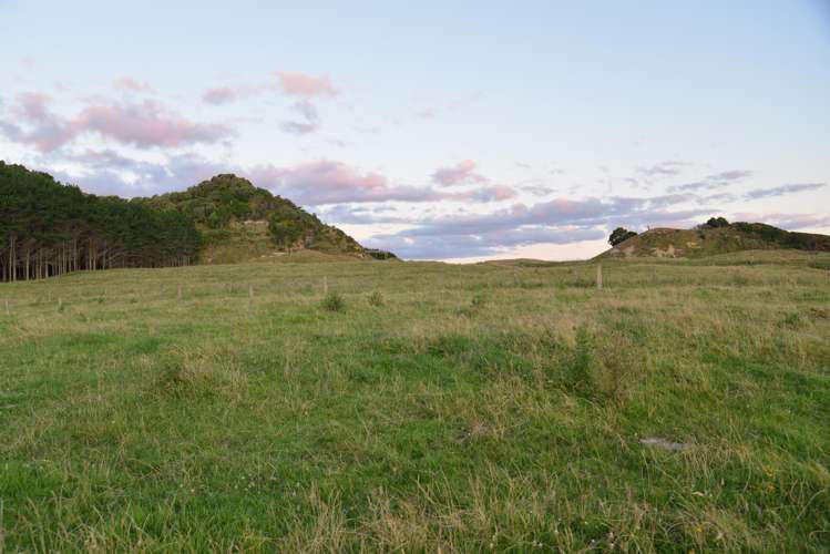 State Highway 3 Mokau_15