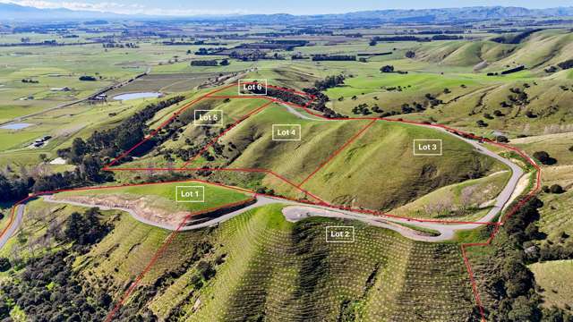 Okoura Ridge — Your Wairarapa Dream Starts Here.
