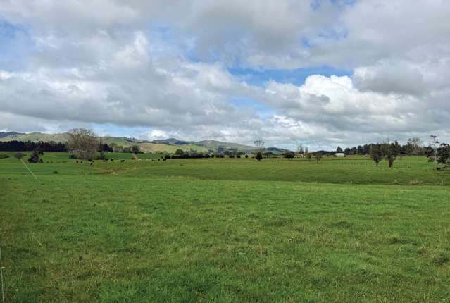 831 Taniwha Road Waerenga_2
