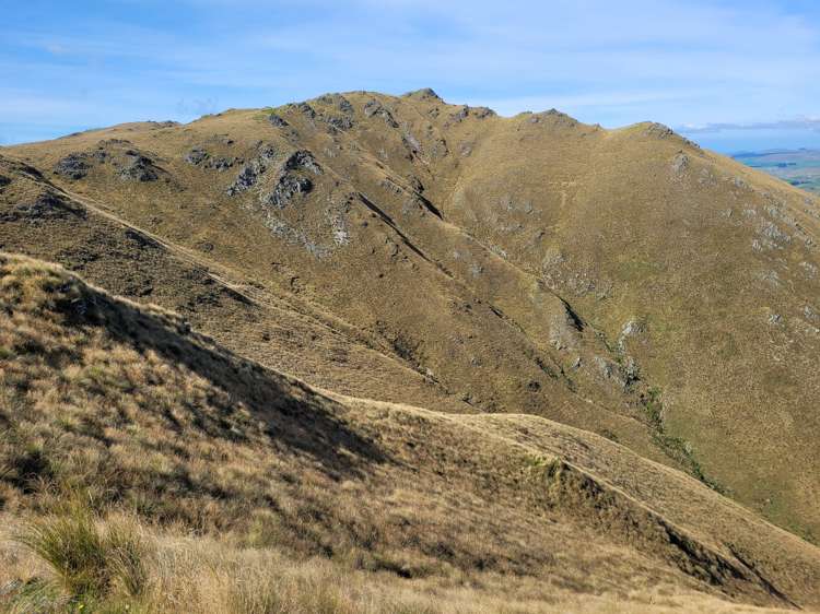 72 Wrights Road Waitaki_10