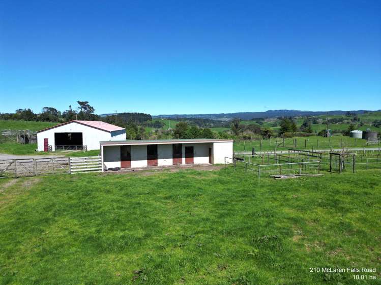 McLaren Falls Road Omanawa_10