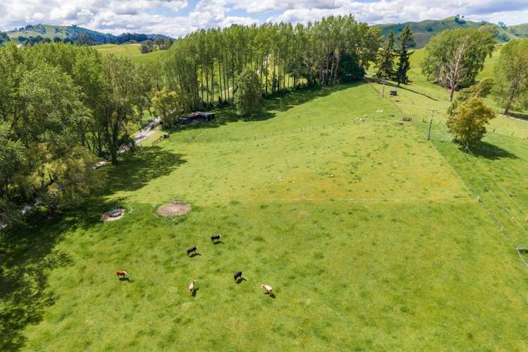 33 Link Road Wairakei and Surrounds_25