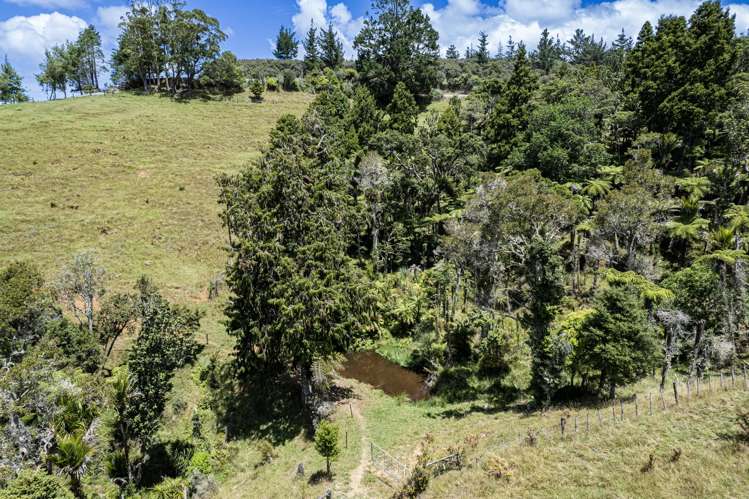 121 Gomez Road Hikurangi_27