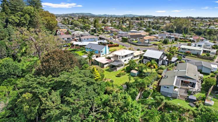 62 Harrier Street Parkvale_20