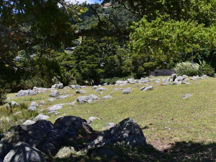 471 Crane Road Kauri_10