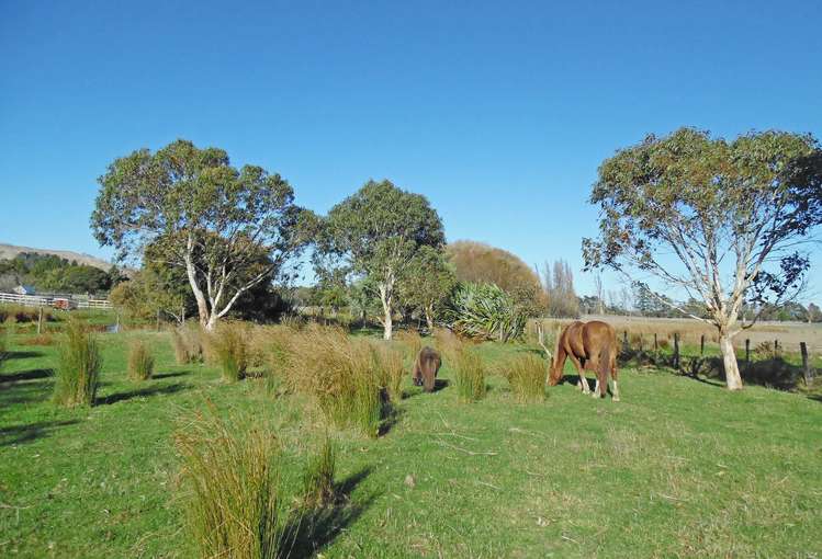 442 Te Whiti Road Masterton_20