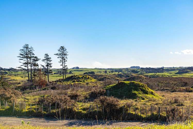 48 Clarkson Avenue Westmere_8
