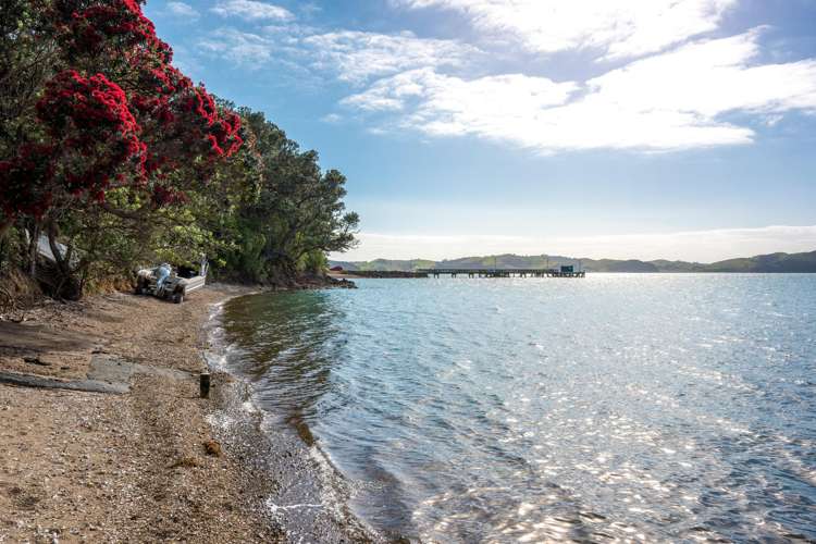 7 Neil Avenue Orapiu_18