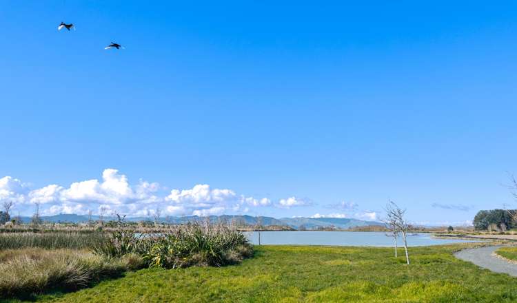 55 Whites Way Te Kauwhata_21