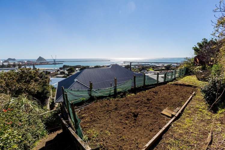 9 South Road Moturoa_23