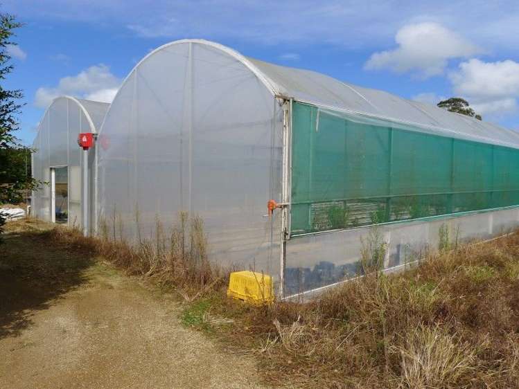 135 Waipapa West Road Kerikeri Surrounds_1