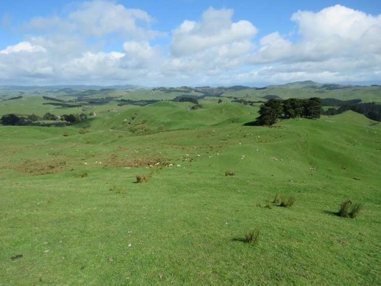 1072 Mangatuna Road Rangitikei Surrounds_7