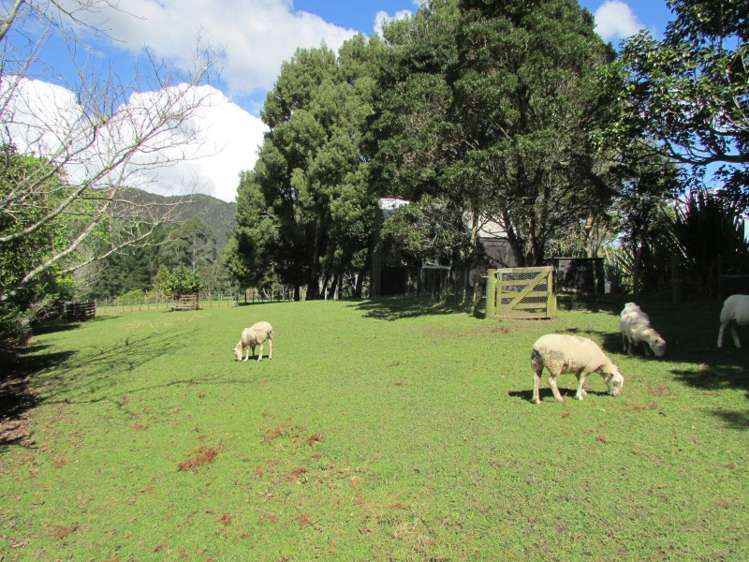 589 Kauaeranga Valley Road Thames_18