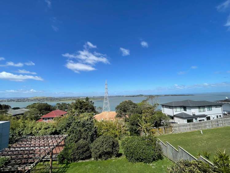 322a Hillsborough Road Hillsborough_13