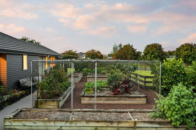 24 Hodge Drive Tamahere_28