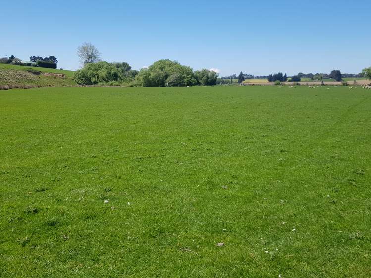 1917 Clinton Highway Clinton and Surrounds_11