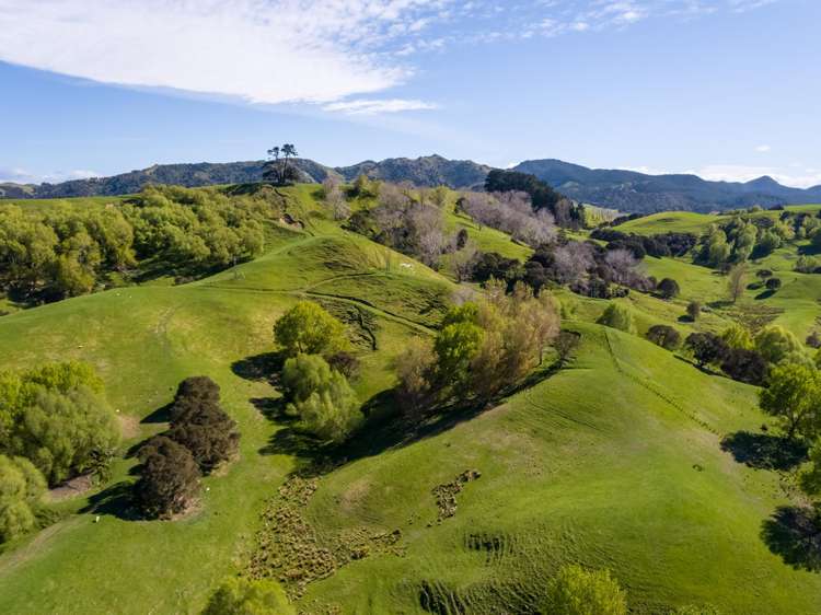 2122 Masterton Castlepoint Road Masterton_12