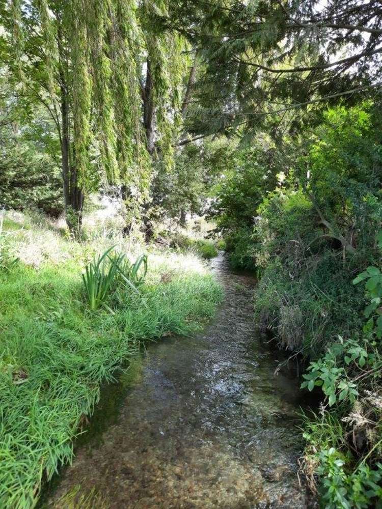 156 Geraldine-Fairlie Highway Fairlie_11