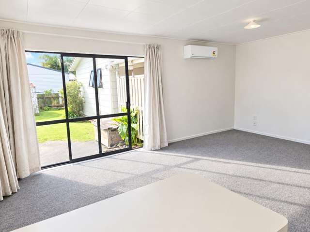 14 Kingsley Street Whataupoko_2
