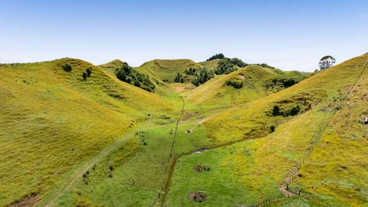 162 Standish Road Toko_19