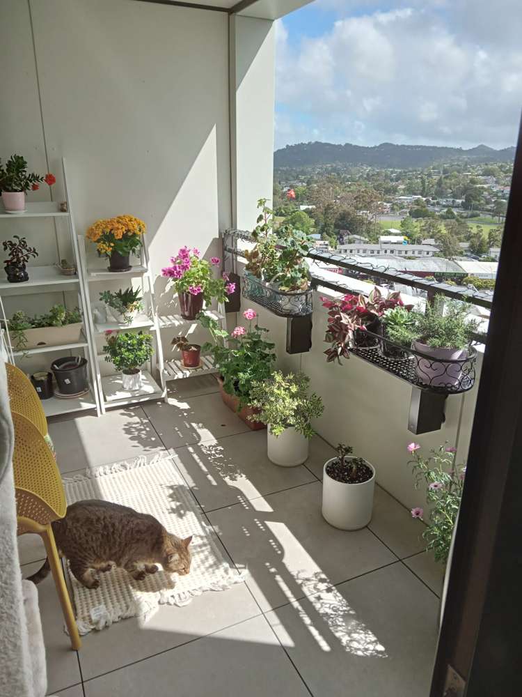 707/6 Waikumete Road Glen Eden_8