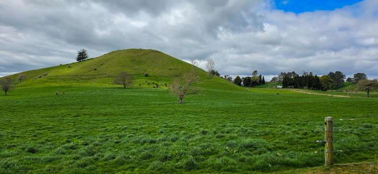 83 Brett Road Rerewhakaaitu_7