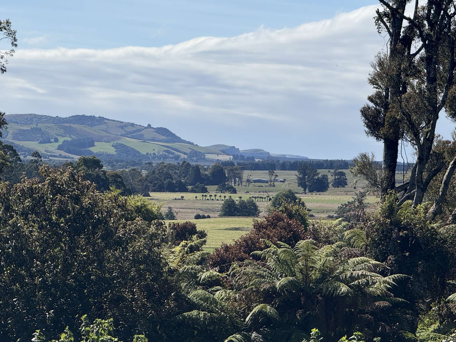 427 Harrington Mill Road Tahakopa_0