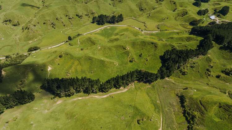 1337 Coonoor Road Pahiatua_11