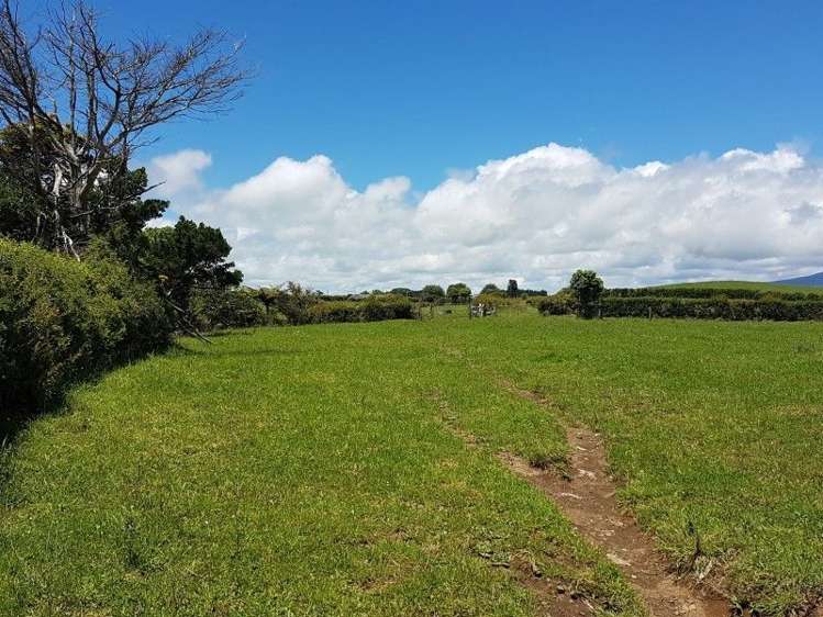 80 Koru Road Omata_29