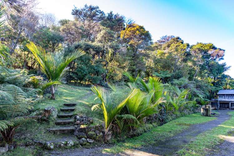 76 Waihirere Drive Tuateawa_6