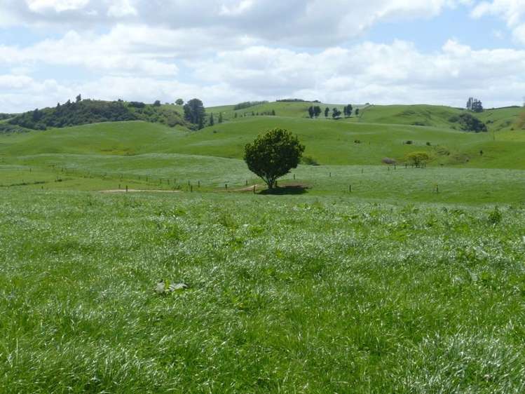 646 Henry Watson Road Richmond Downs_6