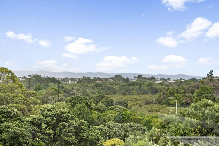 15B Richard Street Westmere_50