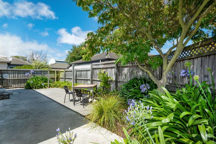 41 Sugden Street Spreydon_5