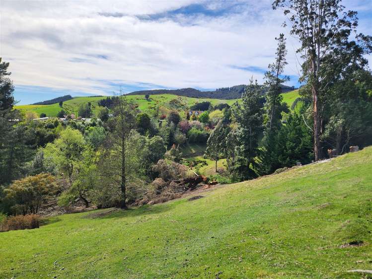 14 GULL STREET Waihola_9