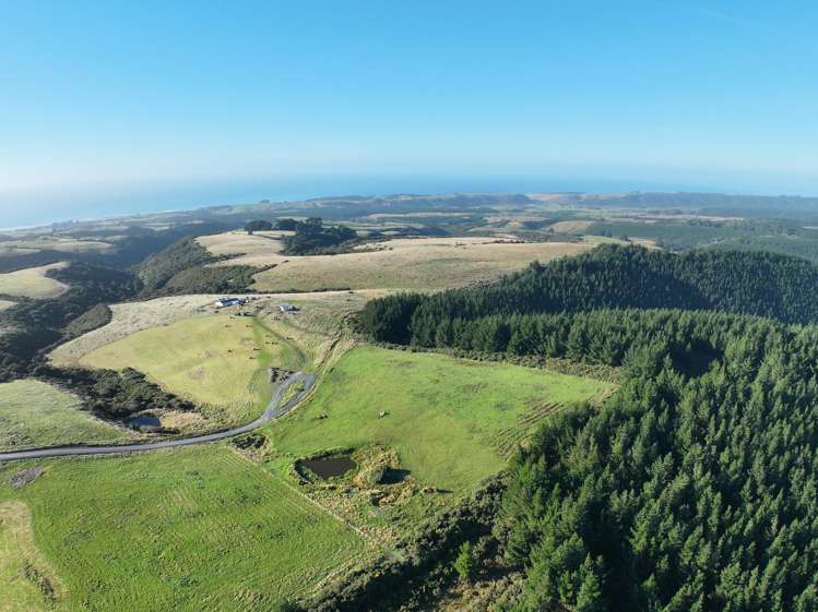 123 Chaplin Road Taieri Mouth_6