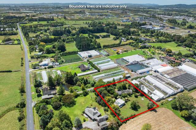 Must Be Sold – Ignore Price Guides  Future Urban