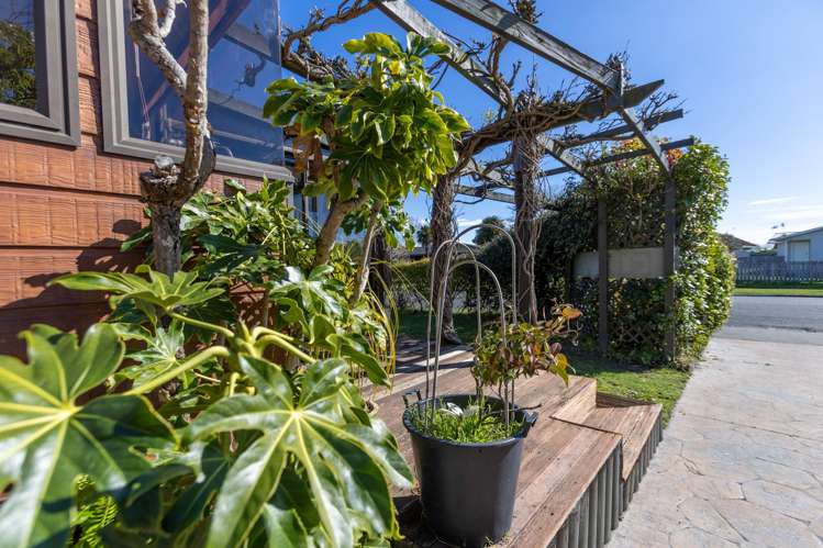 27 Lancaster Street Tamatea_23