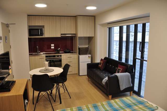 102A/111 Dixon Street Te Aro_1