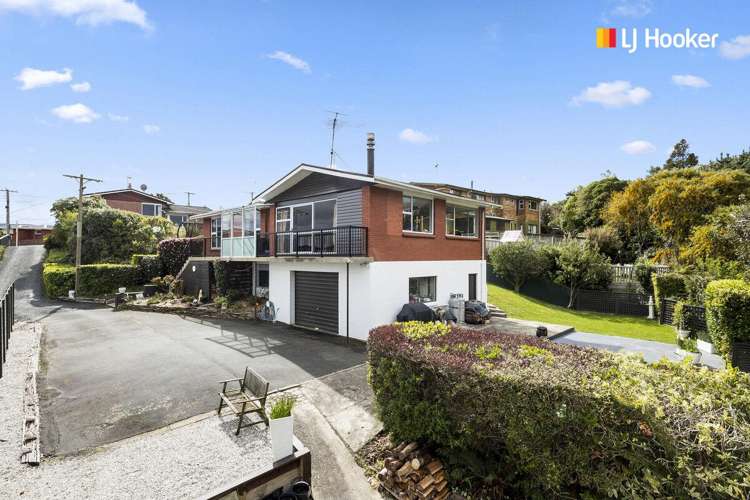 136 Larnach Road Waverley_2