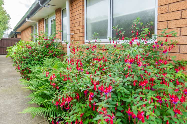 4 Shepherd Place Kaiapoi_6