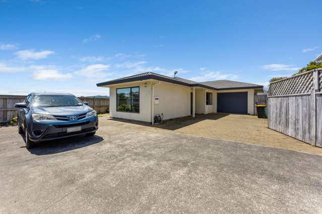 34A Fisher Street Johnsonville_2