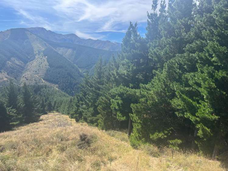 2381 Te Moana Road Kakahu_8