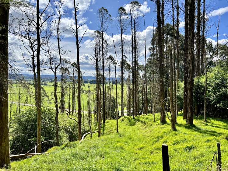 637a Awahou Road Murupara Surrounds_19