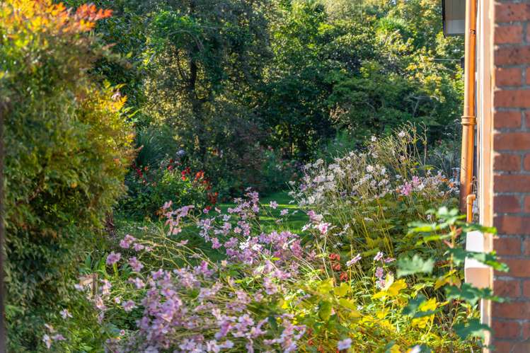 46 Kuratawhiti Street Greytown_19