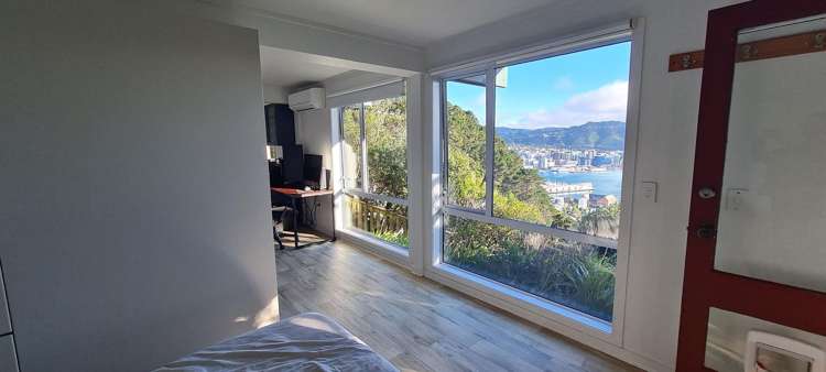 39B Robieson Street Roseneath_7