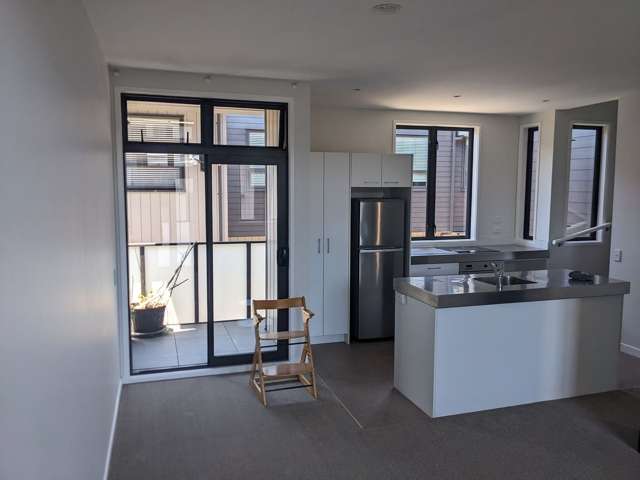 15 Mary Street Mount Eden_1