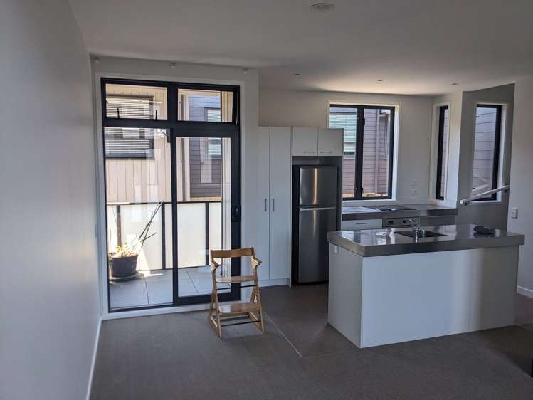 15 Mary Street Mount Eden_1