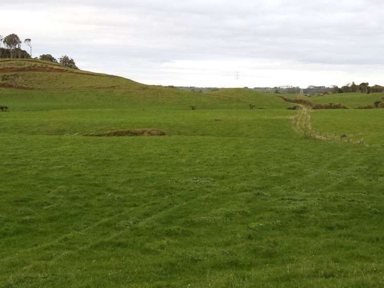 1102 Mangorei Road Mangorei_20